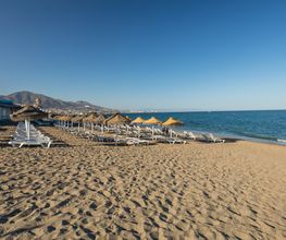 Occidental Fuengirola imagen 11