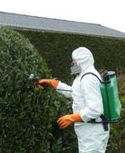 ATN Hauts de France image 1