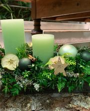 Blumengärtnerei G. Gerber AG Bild 12