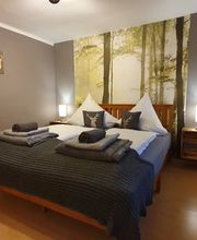 Ferienwohnungen Bartels Harz Bild 13