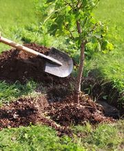 Centro Funerario Lugano SA Bild 2