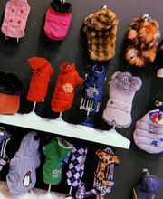 Gallery Cliente