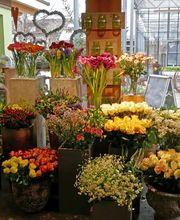 Blumen Eichenberger Oberrieden Bild 3