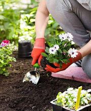 AquaT manutenzione piscine e giardini in Ticino Bild 6