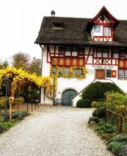 Wirtschaft zur Burg Bild 5