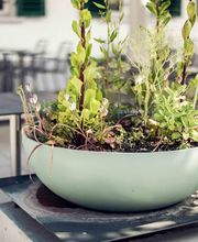 Restaurant Bären Bild 5