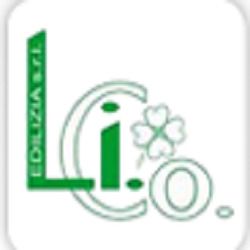 Li.Co Edilizia logo