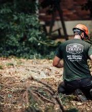 Top Tier Trees image 8