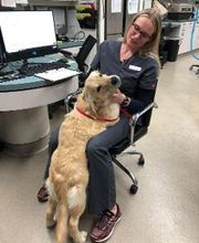 Animal Urgent Care image 5