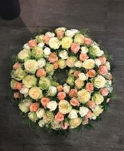 Blumen Fleischli Bild 11