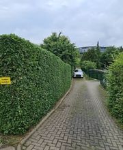 Hausservice Eisold Bild 10