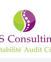 DS Consulting image 4