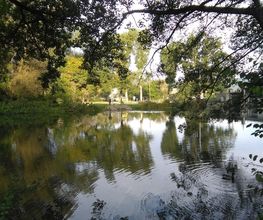 Campingplatz Kratzmühle Bild 16
