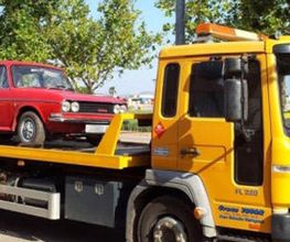 gruas-tovar-transporte-vehiculo-02.jpg