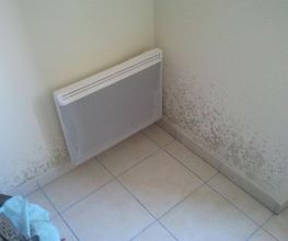 Visiosol image 5