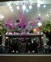 Chlorophylle image 11