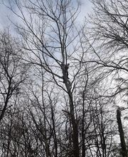 Bouche Nicolas image 10