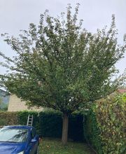 Les Jardins de Fortuné image 10