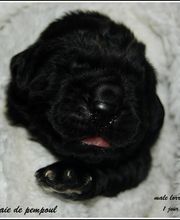 Sandrine Le Rest image 14