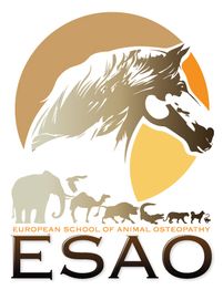 ESAO école supérieure ostéopathie animale