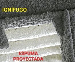 236868519-1-BMuAaTV7nw1741360059526.jpeg