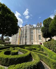 Lapidis image 6