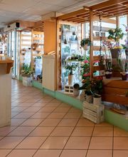 Fleuriste Vautcranne image 14