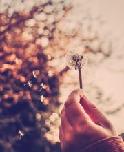 Naturheilpraxis Isabella Werder-Lavanga Bild 4