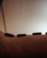 Regeneratium Bild 10