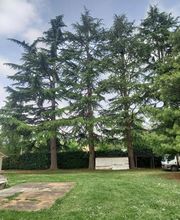 Guerro Elagage image 2