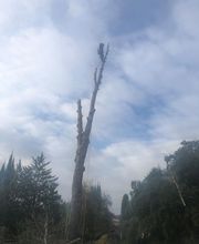 Alp'azur Elagage image 18