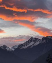 Tea-Room Scex-Riond Fonseca Silva Bild 5