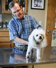 Crysler Animal Hospital image 12