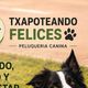 Txapoteando Felices Peluquería canina y felina