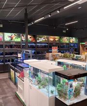 Animalis Brest image 4