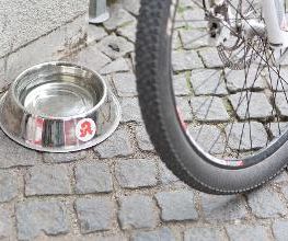 Vita Apotheke Bild 8