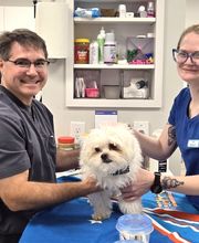 River Oak Vet image 6