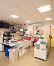 ZLZ Zentrallabor Zürich Bild 6