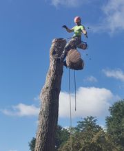 Damien Espace Vert image 1