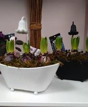 L'arbre A Papillons image 2