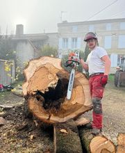 Arbor Saintonge image 3