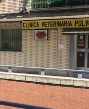 clinicaveterinariapolvoranca.JPG