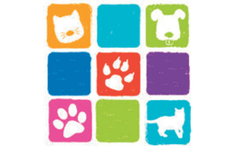 Herzmoneit Carolin Dr.