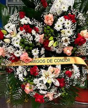 Corona-tres-cabezales.jpg
