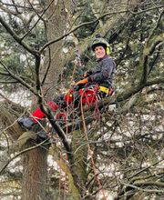 Nadrowski Baumdienst Bild 15