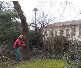 Holzinger Gartengestaltung Bild 2