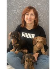 Hundesalon2go Bild 1