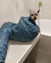 Y yo con estos pelos imagen 8