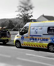 Ambulances DSA et Lion image 5