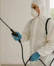 Golic Entrümpelung Bild 5